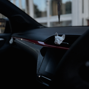 Interior of a car